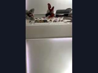 marthmccardle live webcam show