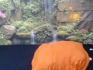 MiniSeduction live webcam show