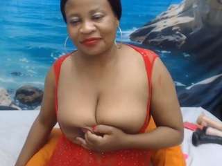 miniseduction