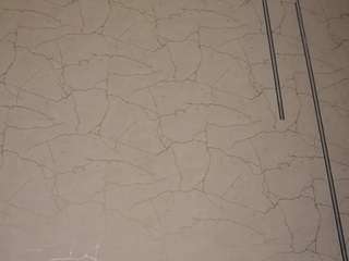 AltessaVosss live cam preview