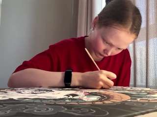 karriembler