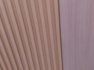 Tamy-Landucci live webcam show