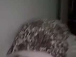 luisrfct