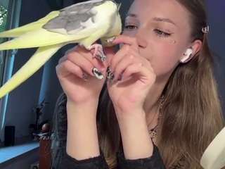 shanekayerbich Live Webcam on CamSoda