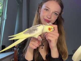 Kaya
