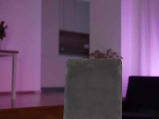 velvetsociety1