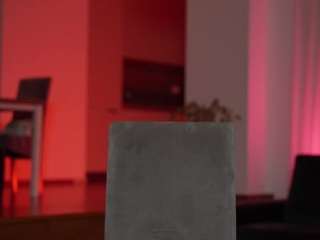 velvetsociety1