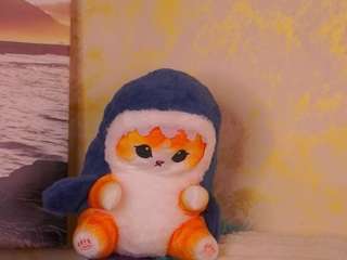 Molly live cam preview