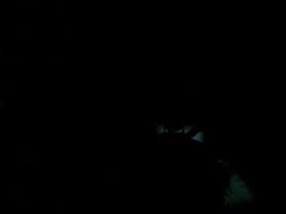 naughty-nerd10
