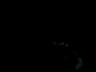 naughty-nerd10
