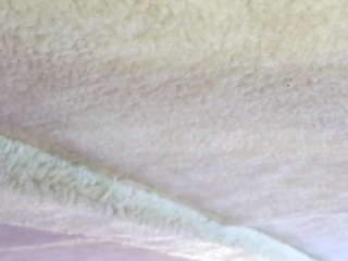 noeldelphine