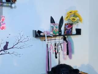 meowwcat4 live webcam show