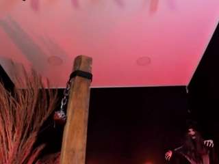Allison-Douce
