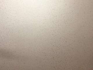vivianherdon