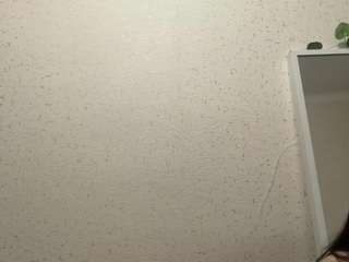 VivianHerdon live cam preview