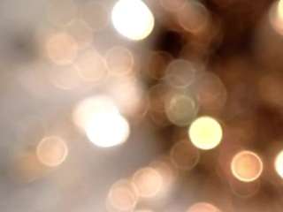 jaylabrowns