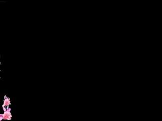 novahduel