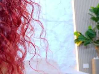 saharaafox