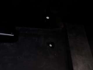 aliceworn