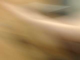 miafox03