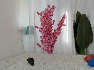 elove247