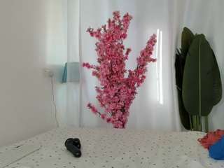 elove247