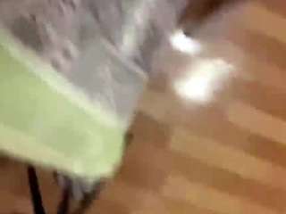joannefucci