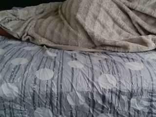 betta-lorie
