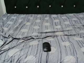 betta-lorie