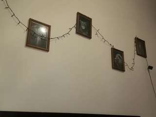 nancidrott webcam