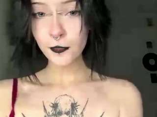 steffaniereedus
