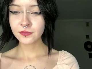 steffaniereedus