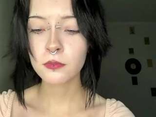 steffaniereedus