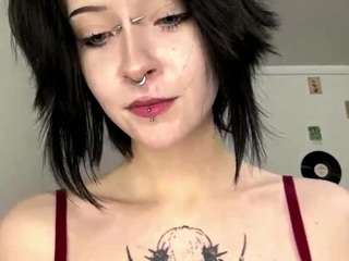 steffaniereedus