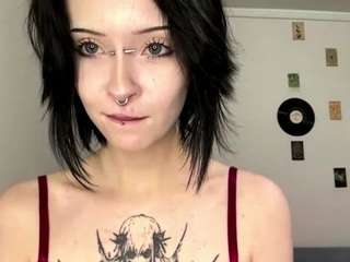 steffaniereedus