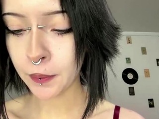 steffaniereedus