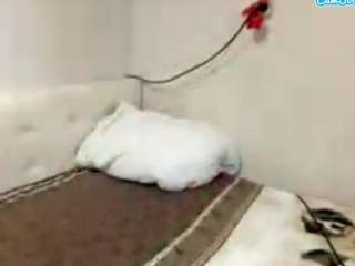 Mia live cam preview