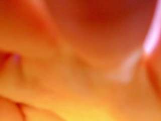 Diotima live cam preview