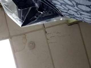 lushdiamondz's CamSoda show and profile