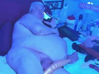 FAT-PIG-TOMMY live cam preview