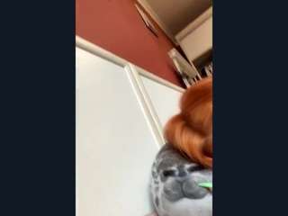 evanharriett