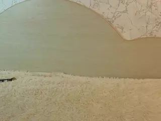 RomonaConlee