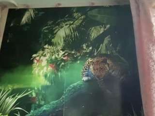 wanettagivhan