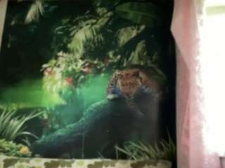 WanettaGivhan