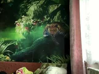 wanettagivhan