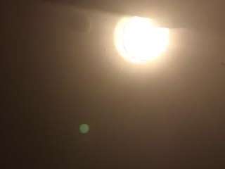 Hicks85