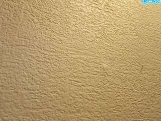 KimberleeTa live cam preview