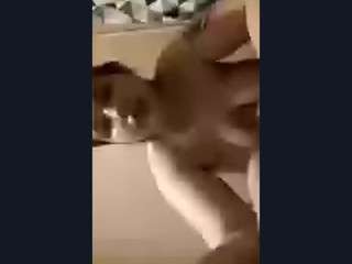 cathygeffken