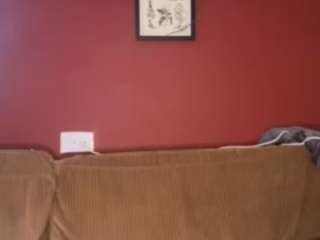 PoundedBlackandRed