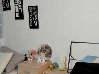 elmirainscore